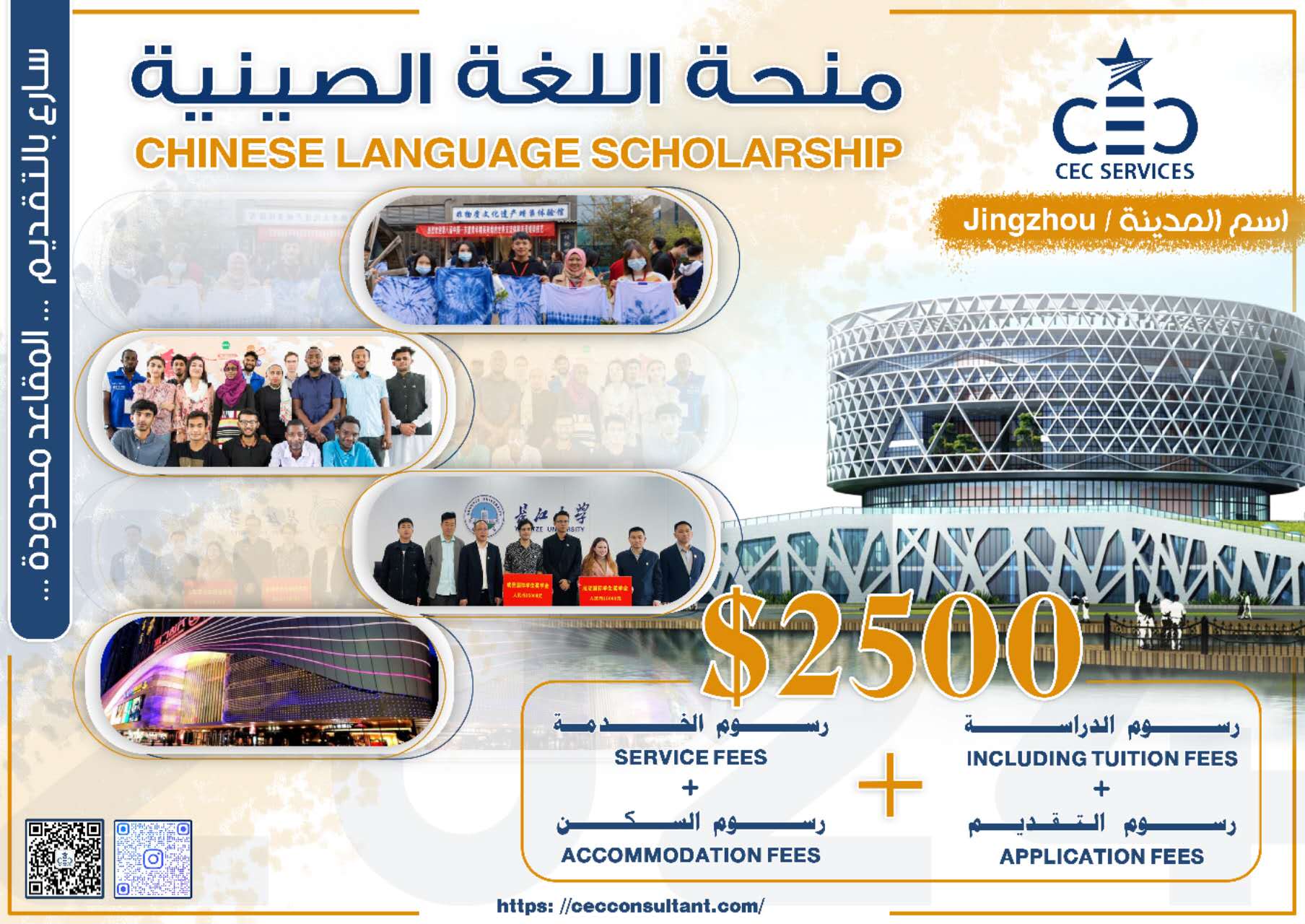 Chinese Language Scholarships